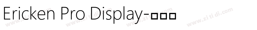 Ericken Pro Display字体转换